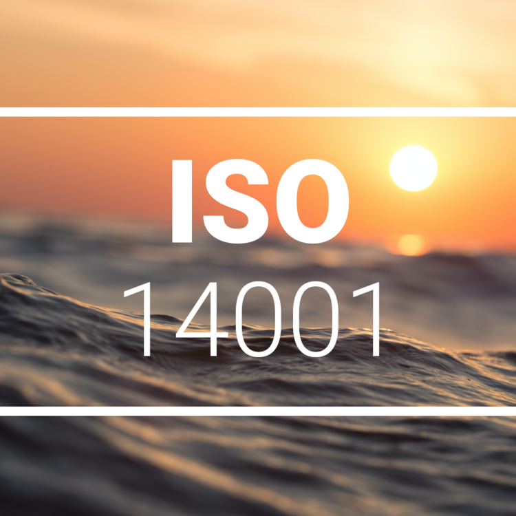 ISO 14001 - Umweltmanagement, Einführung & Beratung