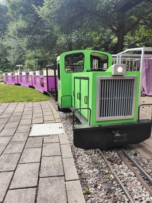 Frontalansicht des grünen Klebbähnle mit lila Waggons, betrieben von QMZoller Amusement UG. Perfektes Familienerlebnis auf der Miniaturbahnstrecke.